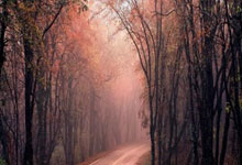 秘鲁队战胜智利，欧洲杯前景一片未卜